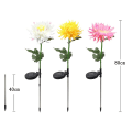 Miniatyrbillede 2 af 5: 3 Pakke Sol Chrysanthemum Lys Til Have Adgang Gangsti Pati