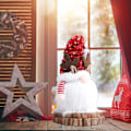 Miniatyrbild 5 av 7: Julgransprydnader Tomtar, Unika Tomte Julklappar, Belysta Tomtestatyer, Plysch Tomtedockor för Inomhusbruk, Ger en Magisk Touch till Ditt Hem
