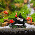 Miniatyrbillede 4 af 6: Akvarie Dekoration Hus Resin Hul Hulested Hus, Betta Fisk