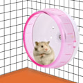 Miniatyrbild 6 av 9: Hamster träningshjul, leksakshjul för små djur, springande hamsterhjul tyst hamsterhjul dvärghamsterhjul för små hamster marsvin leksaker