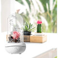 Miniatyrbild 4 av 5: Bevarad doft, Bärbar Lampa, Uppladdningsbar, USB Aroma Diff Rose