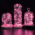 Miniatyrbillede 3 af 5: 16 Pakke Fe Lys Batteridrevet, 6,5ft Mikro LED Stjernelys