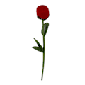 Miniatyrbillede 2 af 3: Moderne Roseblomstformet Bryllupsring Opbevaringsboks Beholder til Halskæde Øreringe