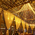 Miniatyrbild 5 av 5: Extra lång 164ft 400 LED ljusslinga, insätt ljusslinga