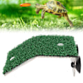 Miniatyrbild 1 av 8: Liten sköldpadda solplattform simuleringsgräs sköldpadda stege viloplats med sugkopp för små reptiler groda M