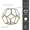 Miniatyrbillede 4 af 5: Geometrisk bordplade terrarium, 7,8 x 7,8 x 6,5 tommer metal med