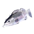 Miniatyrbild 5 av 10: Elektrisk bete simmande robotsegment fiskebete USB-laddning simbete