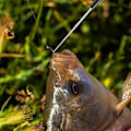Miniatyrbilde 3 av 7: Fiske krokfjerner sett, fiskekrokfjerner verktøysett, fiskekrokfjerner for saltvann og ferskvann