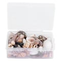 Miniatyrbillede 2 af 8: Smykkehåndværk DIY Shell Sea Snail Set Naturlig Seashell Conch Bryllup Hjemmedekoration