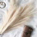 Miniatyrbilde 3 av 4: Kunstig Pampasgress, stort, stort, stort, fluffy,