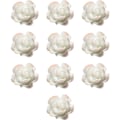 Miniatyrbild 1 av 5: Nail Art 3D Resin Vit Ros Blomdesign Aurora Kronblad Nagel