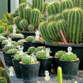 Pikkukuva 6 / 8: DARUNAXY 20 kpl Hienovarainen aavepuuhaltijat Miniatyyripuutarhatonttu
