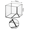 Pikkukuva 4 / 6: Ultra 10x10x10 neliömäinen kirkas lasinen terraarioistutusastia