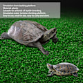 Miniatyrbilde 7 av 8: Reptil solingsplattform plastsimulert plen for soling klatring landskapsarbeidM