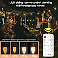 Miniatyrbild 2 av 7: Utomhus String Lights 49ft splittersäkra LED Utomhusljus Vatten