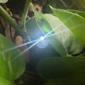 Miniatyrbilde 7 av 8: Libershine LED-ballonger lys, runde LED-ballonglys,