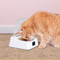 Miniatyrbild 2 av 8: Automatisk matskål med infraröd sensor, hund- och kattmatskål i rostfritt stål, USB-laddning