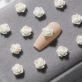 Miniatyrbillede 3 af 5: Neglekunst 3D Resin Hvid Rose Blomster Design Aurora Kronblad Negl