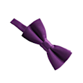 Miniatyrbilde 1 av 5: Kompakt og lett smal sløyfe for gutter til bryllup og Purple