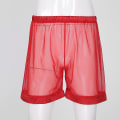 Miniatyrbild 3 av 5: Genomskinliga mesh lösa shorts för män Lounge Underkläder Cover Up Boxer Trunks S-3xl XL