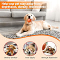 Miniatyrbild 6 av 7: Interaktiv hundboll, liten hundboll, smart leksaksboll, automatisk hundleksak, interaktiv bollleksak, USB 360 graders självrotation Orange