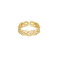 Miniatyrbild 4 av 4: Ring i Rostfritt Stål med Flätad Design - Guld - Stl 17 Guld