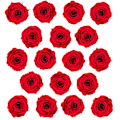 Pikkukuva 3 / 3: 18x Pieni Kestoruusu Red