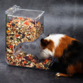 Miniatyrbillede 7 af 8: Maddispenser til gnavere - plastik Transparent