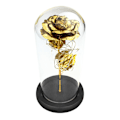 Miniatyrbillede 2 af 4: Evighedsrose med Lyskæde - Guld / Sort Gold