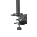 Miniatyrbild 6 av 9: Ergonomiskt skärmstativ för två skärmar, Nedis Svart