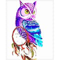 Canvasposter, Uggla - 60 x 75 cm multifärg