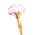 Miniatyrbild 2 av 6: Evighetsblomma - Nejlika Guld