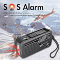 Miniatyrbillede 7 af 8: Krankradio med lommelygte og solcelle Sort