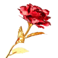 Miniatyrbillede 2 af 6: Evighedsrose - Rød med Guldstilk Gold