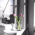 Miniatyrbillede 5 af 7: Unik planteholder - jern - sort Black