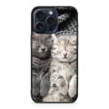 Miniatyrbild 1 av 2: Bjornberry Skal iPhone 15 Pro Max - Vilande Katter