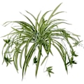 Miniatyrbillede 1 af 5: RYI_2-pak Kunstige Blomster Edderkoppeplanter Falske Silkeblomster Faux-4-