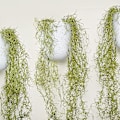 Miniatyrbilde 4 av 5: Sukkulenter Spansk Mose, Juletrærpynt, Kunstig Mose for Kunstige Hengende Planter & Mose for Planter - (3pk)