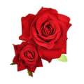 Miniatyrbild 1 av 2: Bröllopshårtillbehör Kvinnor Simuleringsblommor Klipp Hårblommor Kvinnor Blomhårklipp Kvinnor Ros Red 20*12cm