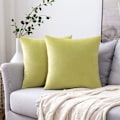 Miniatyrbilde 2 av 5: Sett med 2 fløyels putetrekk Dekorative sofa putetrekk Supermyk myk komfortabel dekorasjon Hjem Stue Soverom For sofa 50x50cm Grass G