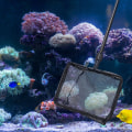 Miniatyrbillede 2 af 2: Stort Fiskenet Akvarienet Fint Fiskenet Akvarienet Fiskeyngelnet Sort Black
