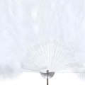 Pikkukuva 4 / 5: 1920-luvun Peacock Feather Fan - Naisten Käsikäyttöinen Taittuva Fan - Höyhenfan - Höyhen Flapper - Juhlatarvike - Puku Koriste