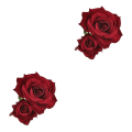 Pikkukuva 2 / 2: 3 kpl Upea Flanelliruusu Kukkaklipsit Tekokukka Bobby Pin Elegantti Viehättävä Hiusklipsit 2 pcs 20*12cm