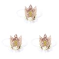 Miniatyrbilde 1 av 2: 3 stk Babyens Første Bursdagskrone Rose Blomst Blonder Mesh Hodeplagg Baby Jente 1. Bursdag Hatt Fest Su 3pcs