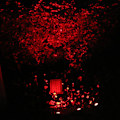 Miniatyrbild 2 av 5: LED Färgglada Utomhus Solcellsbelysning Vattenbeständig Floodlight Trädgårdsbelysning Dekorationsbelysning