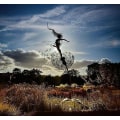 Miniatyrbillede 1 af 2: Dansende Fe Dandelion Statue Ornament StakesDandelion A Dandelion A