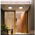 Miniatyrbillede 2 af 5: Vandafvisende LED Loftlampe, LED Loftlampe IP65 til Stue, Badeværelse, Kontor, Udendørs Veranda og Mere (30w + Hvidt Lys B)