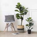 Miniatyrbild 4 av 5: Robust Repkorg Växtkorg Modern Vävd Korg För Blomkruka Golv Inomhusplanter, Förvaringskorg Rustik Heminredning Gul Svart Yellow Black