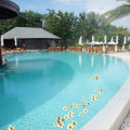 Miniatyrbillede 4 af 4: 20 Stykker Vandflydende Plumeria Kunstige Blomster Frangipani Til Pool Dekoration Og Badekar (Hvid) $20 Stk Hawaiiansk Skum Kunstig Plumeria Ha