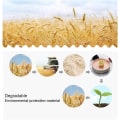 Miniatyrbillede 5 af 5: Tallerken af Hvedehalmfiber | Sæt af 4 22,3 cm Nedbrydelige Sundhedsplader/middagsplader/menuplader, mikrobølgeovn & opvaskemaskine sikker stel - BPA-fri & 20 cm 20 cm